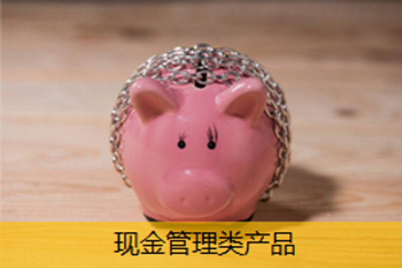 现金治理类产品